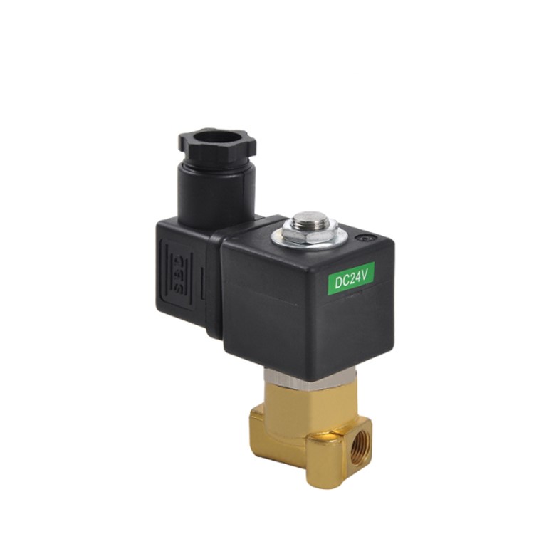 2/2 Way Small Home Electrical Appliance Brass Solenoid Valve