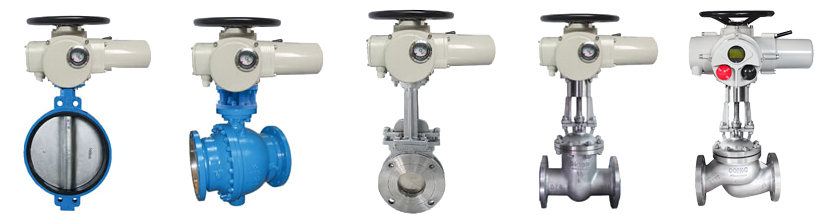 multi turn electric actuated gate valve