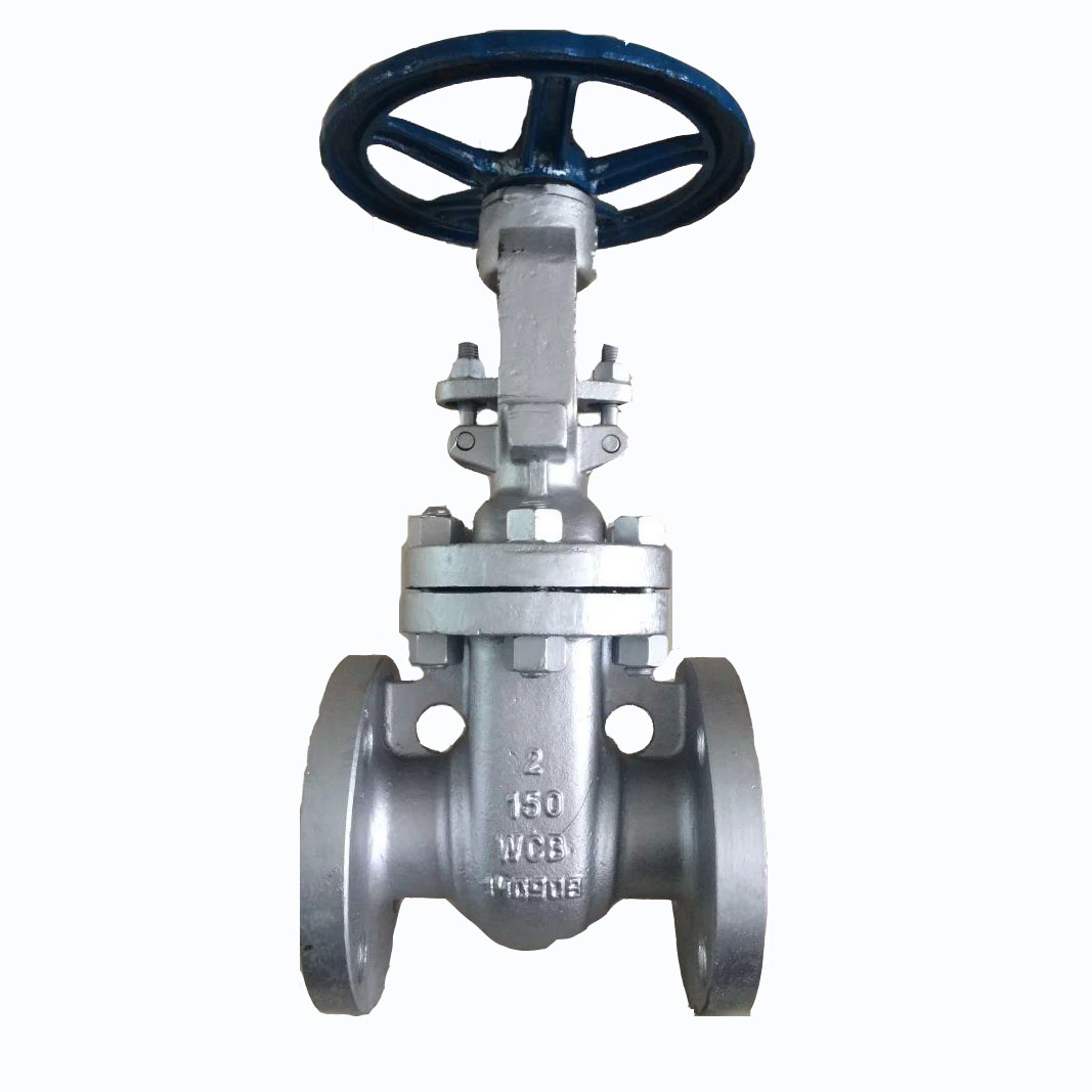 COVNA Stainless Steel Flanged Manual Gate Valve